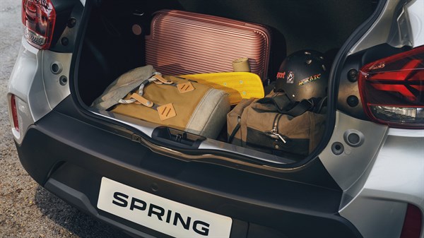 Novi Dacia Spring - Dvostrana korpa za prtljažnik